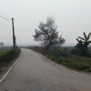 Spacious Land for Sale – 31.25 Dismil in Telia, Muzaffarpur